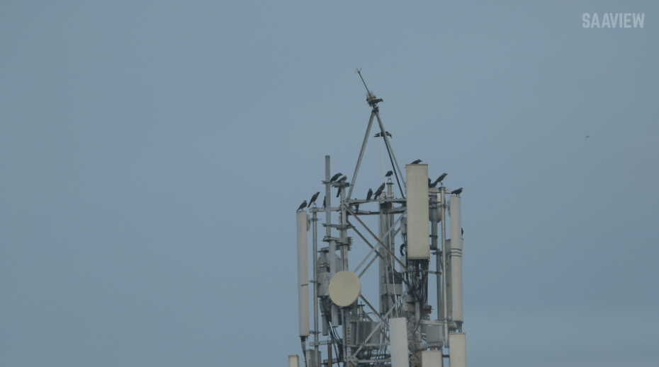5G Expansion Continues in 2025
