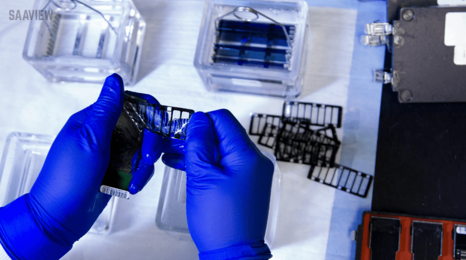 Biotechnology and Genomic Innovations