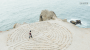How to Choose the Right Path and Grow Professionally