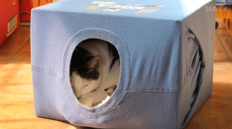 How to Make a Homemade Cat Tent Using an Old T-Shirt
