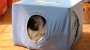 How to Make a Homemade Cat Tent Using an Old T-Shirt