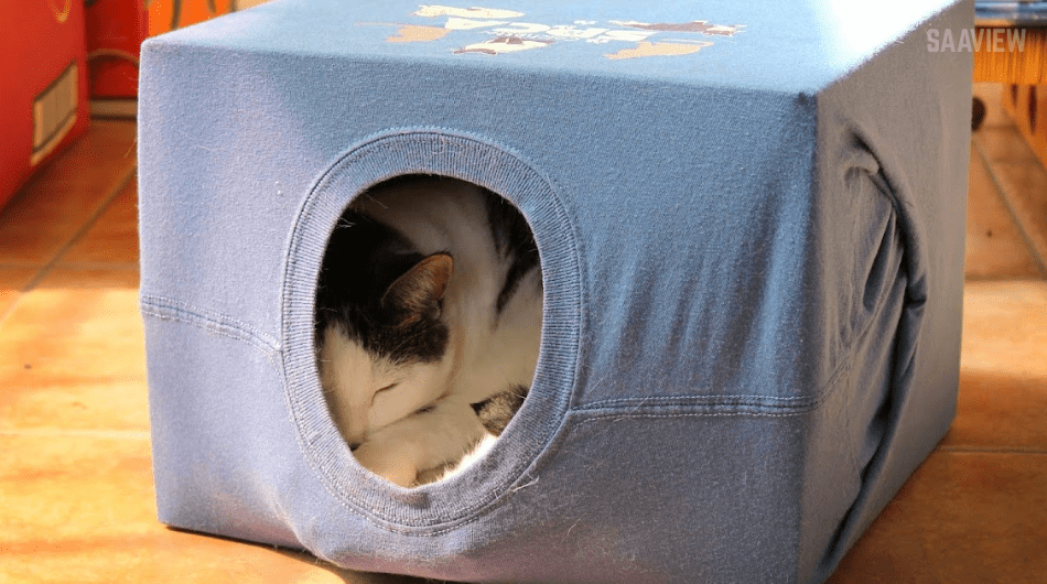 How to Make a Homemade Cat Tent Using an Old T-Shirt