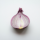 Onion