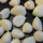 Garlic cloves
