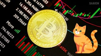 How to Use Crypto Cat for Secure Messaging
