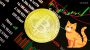 How to Use Crypto Cat for Secure Messaging