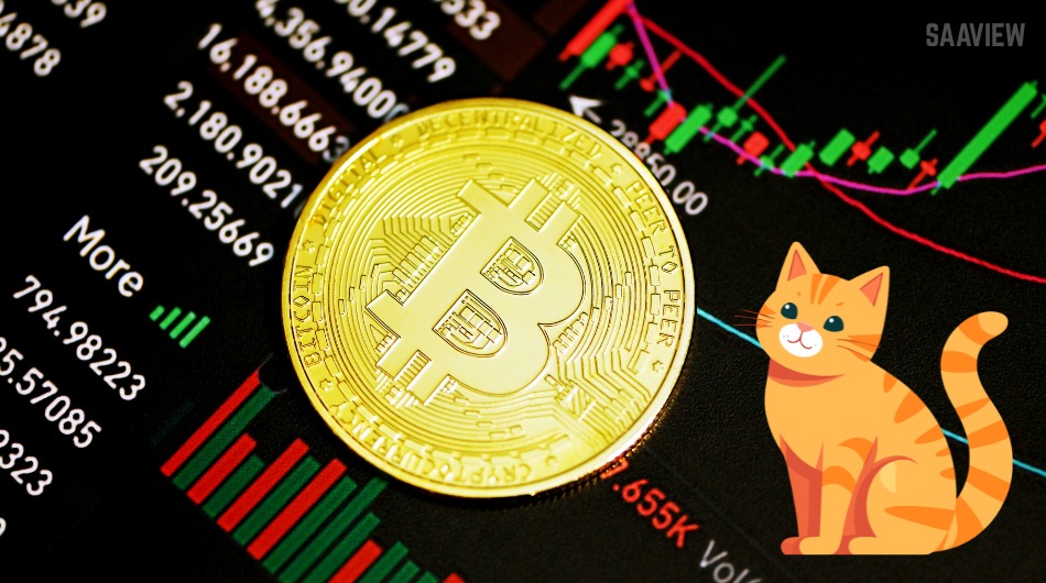 How to Use Crypto Cat for Secure Messaging